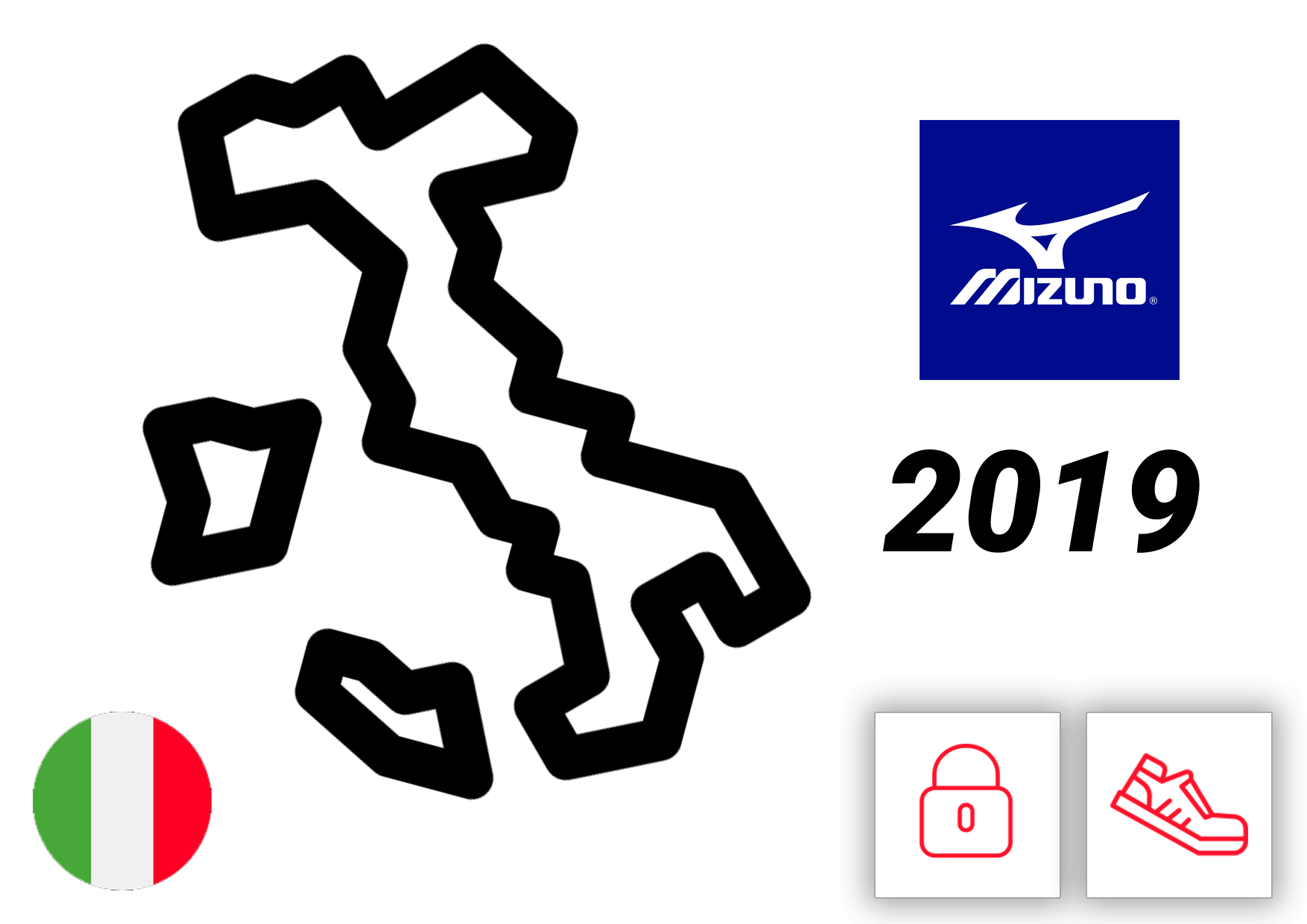 mizuno annual report